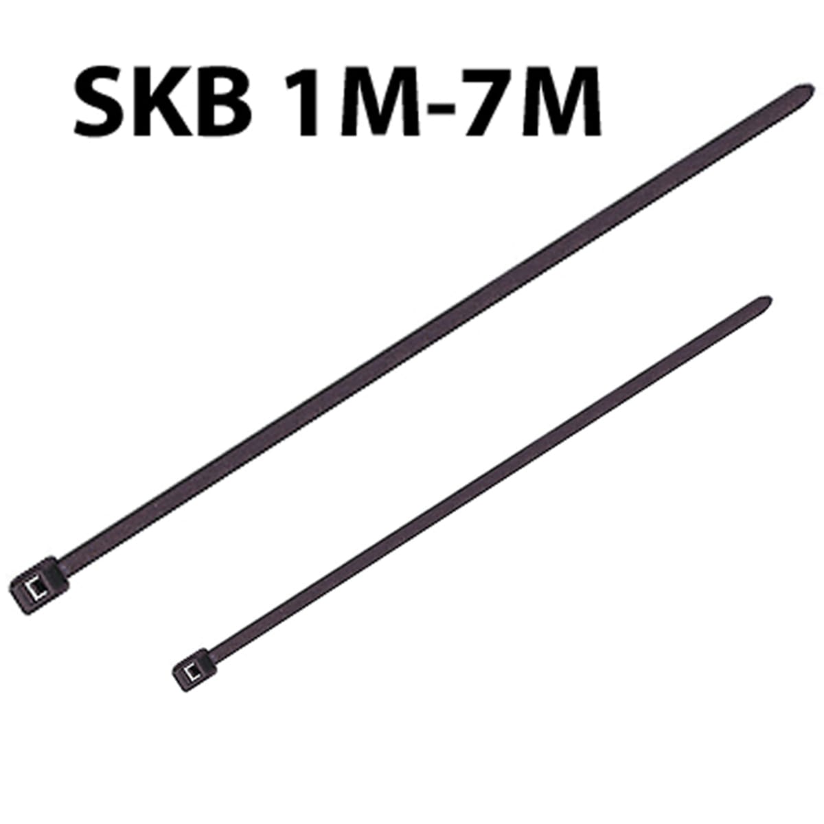 skb1-7szws_bd.jpg