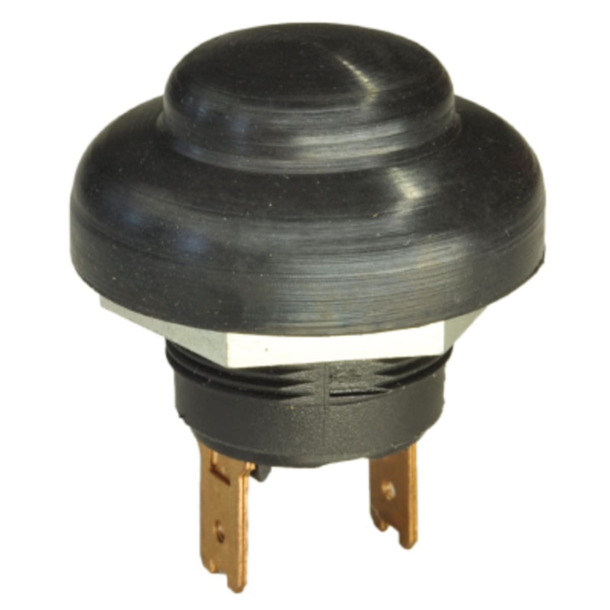 Bild von Horndrücker Hella