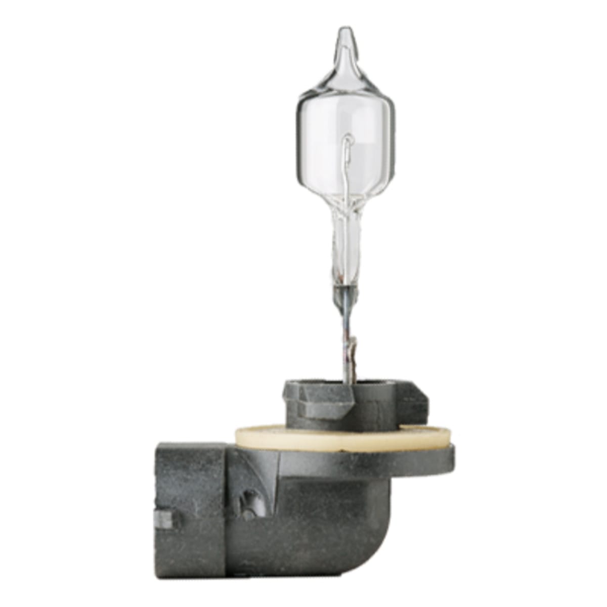 Bild von Scheinwerferlampe 12 V