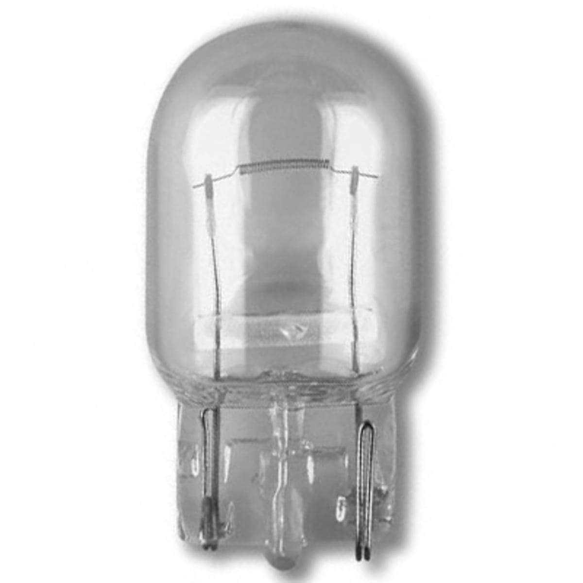 Bild von Glühlampe 12 V