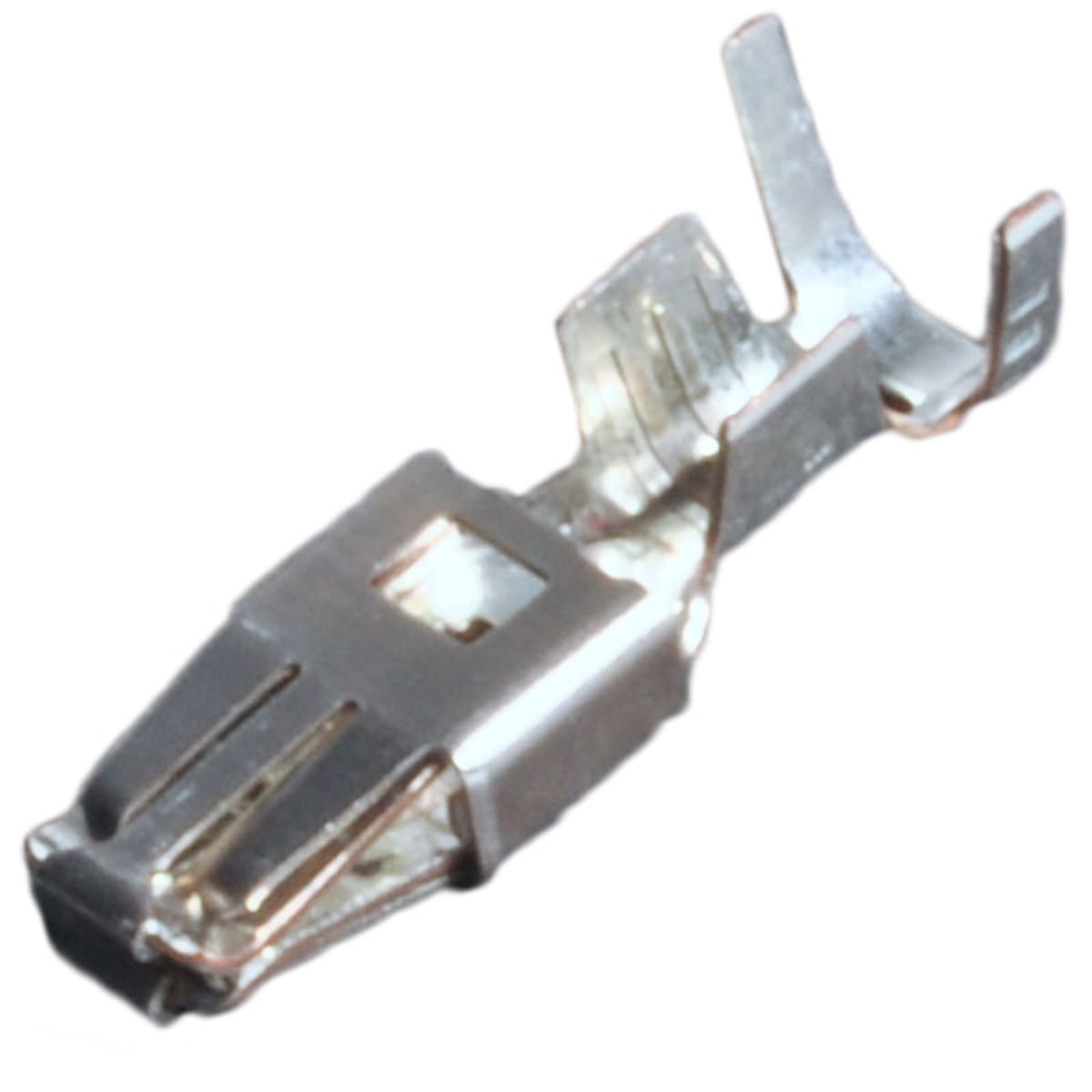 Bild von Buchsenkontakt Delphi