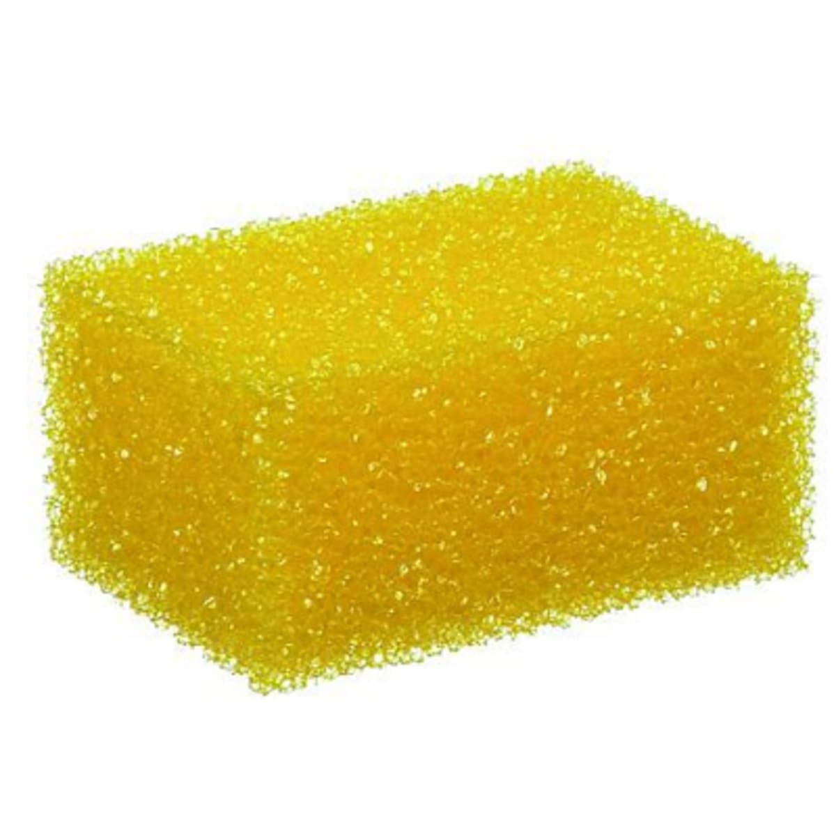 Bild von Insektenschwamm