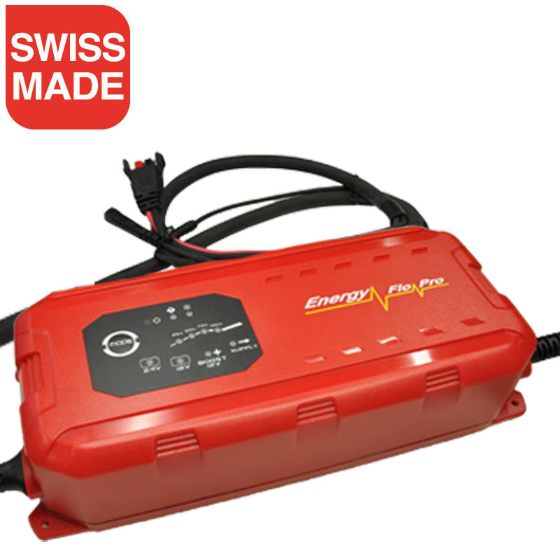 Bild von Lemania Batterieladegerät 12 / 24 V 25.0 A