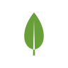 Logo of MongoDB Atlas