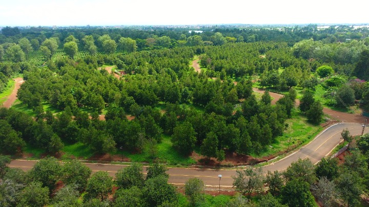 Thika Grove Chania 1/4 Acre Plots