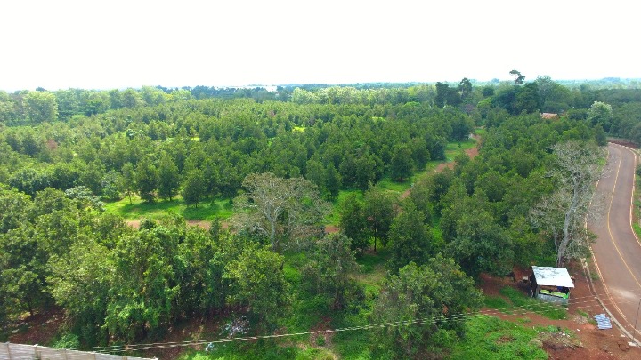 Thika Grove Chania 1/4 Acre Plots