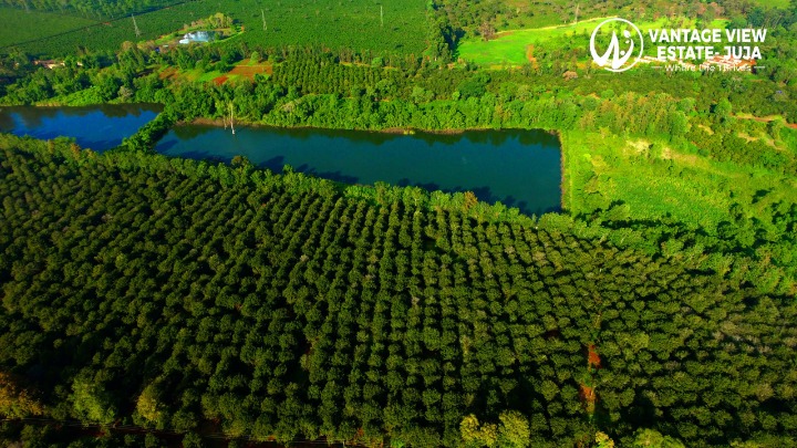 Vantage View Juja 1/4 Acre Plots