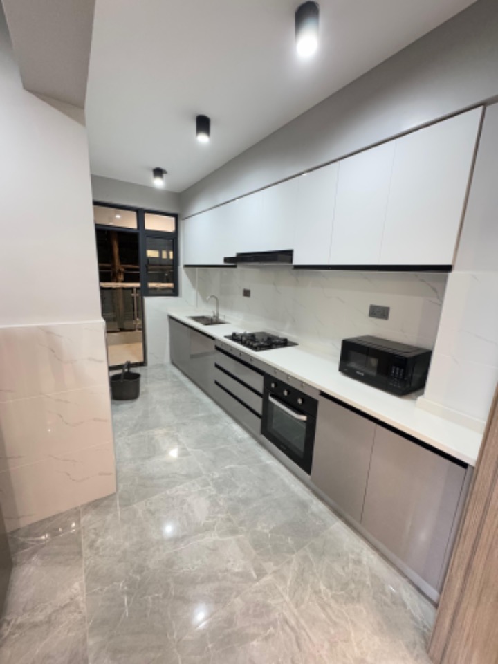 2 &3 br plus DSQ apartment for sale in Kileleshwa.