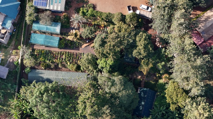 Prime 1.7-Acre Development Land in Rosslyn