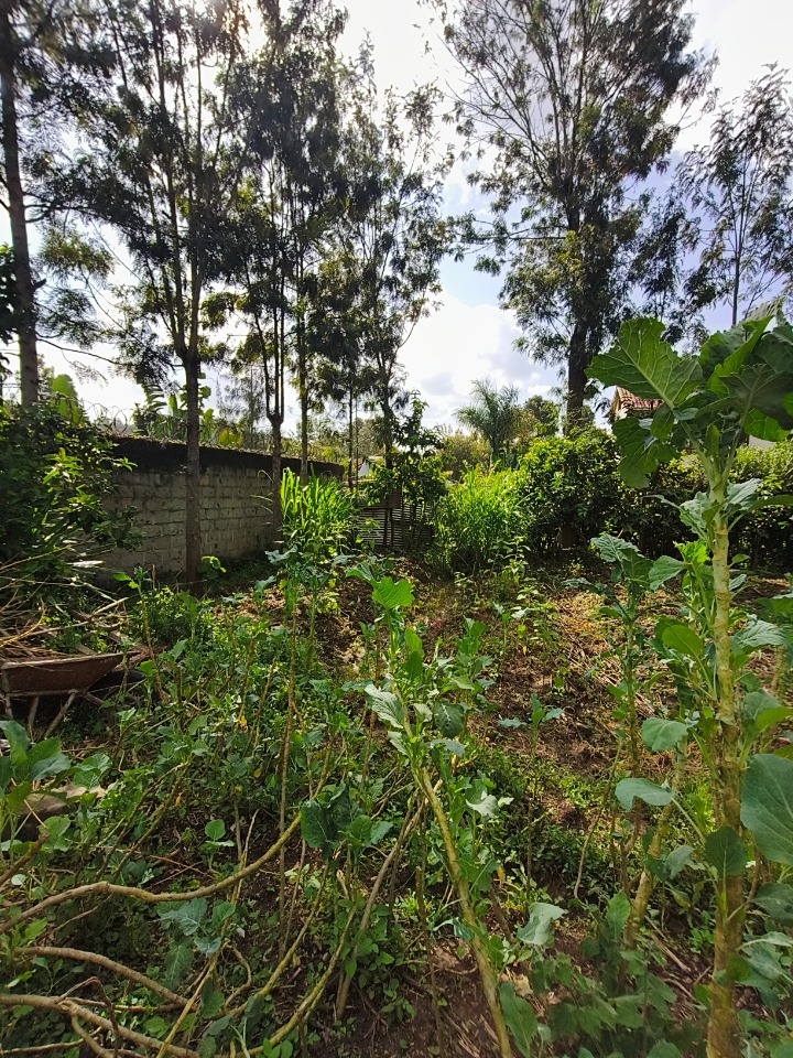 1/4 Acre Residential Plot for Sale – Kirarapon, Karen  Looking to build in a peaceful and secure location? Discover this prime 1/4-acre plot located in the serene and fast-developing neighborhood of Kirarapon, Karen