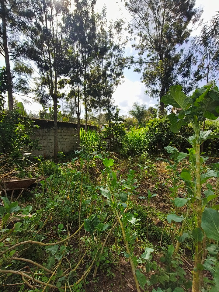 1/4 Acre Residential Plot for Sale – Kirarapon, Karen  Looking to build in a peaceful and secure location? Discover this prime 1/4-acre plot located in the serene and fast-developing neighborhood of Kirarapon, Karen
