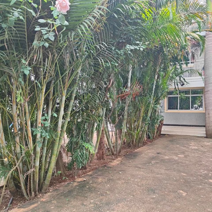 Apartment for rent at Lang'ata