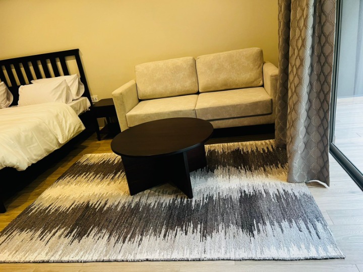 Fully furnished studio for Rent