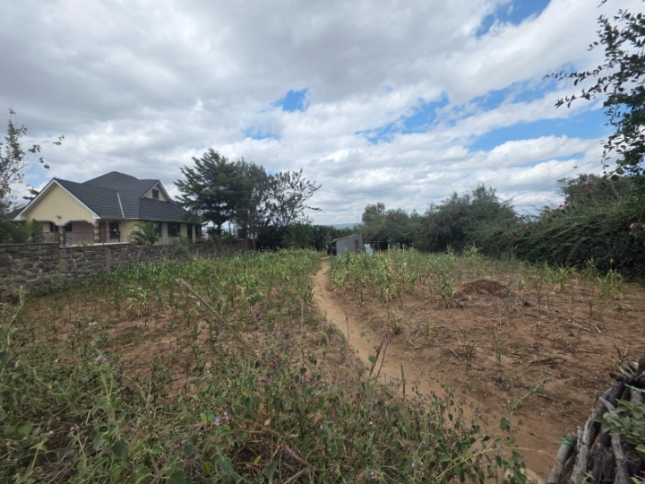 1/3 Acre Plot for Sale – Transview Estate, Athi River