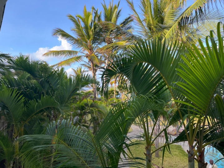 3-Bedroom Beachfront House For Sale