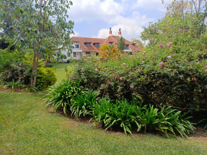 Elegant 4-Bedroom Villa for Rent