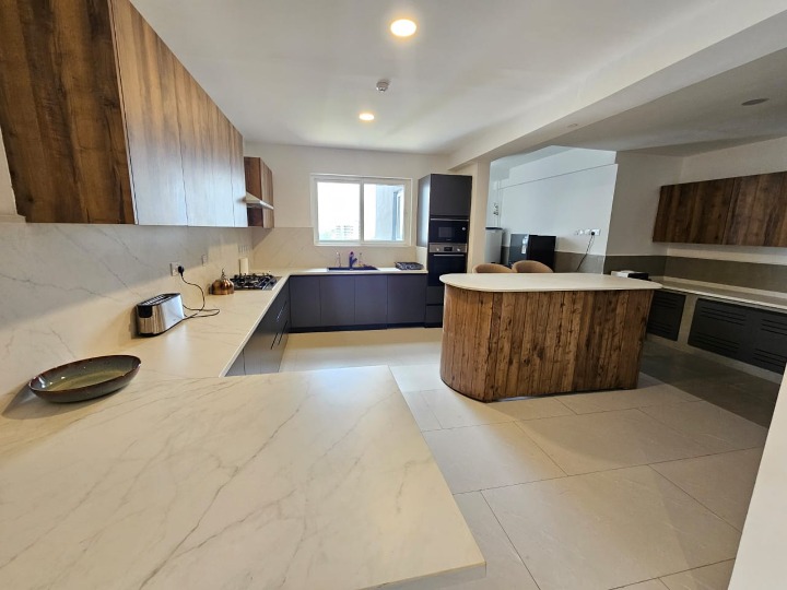 3-Bedroom + DSQ Fully Furnished Apartment for Rent
