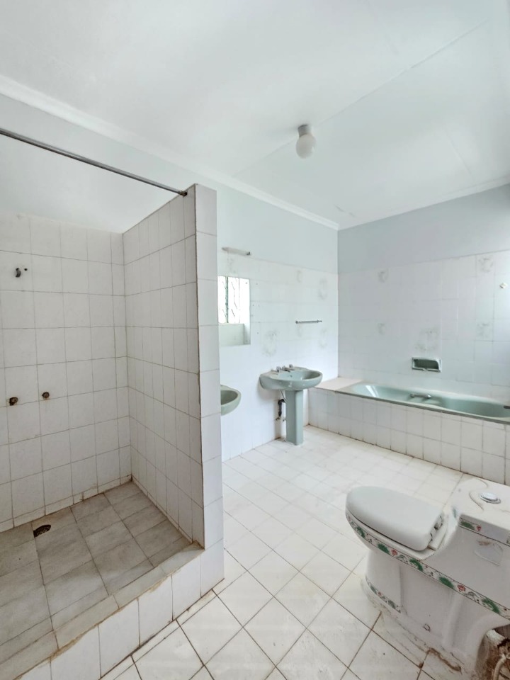 Commercial/Office House  for Rent