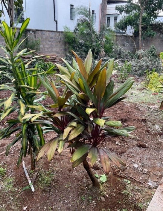 3 Bedroom Maisonette For Rent