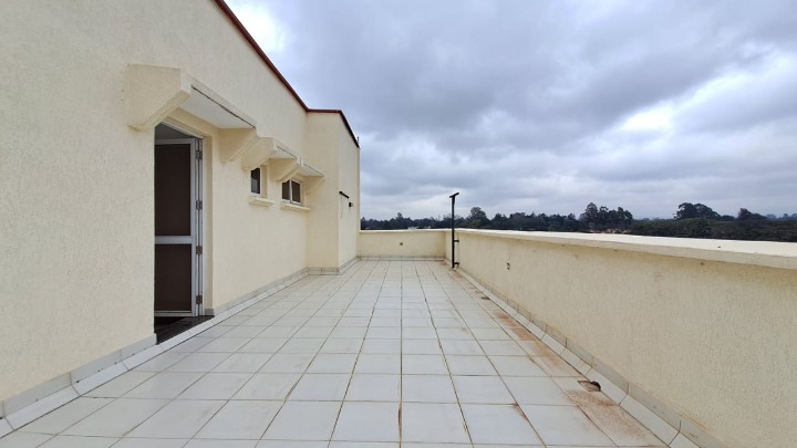 4 Bedroom Penthouse (All Ensuite) + DSQ for Rent