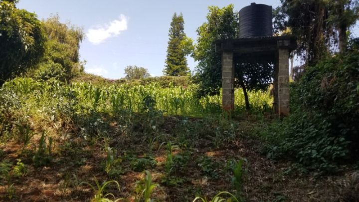 For Sale – 1 Acre Land with House | Tigoni