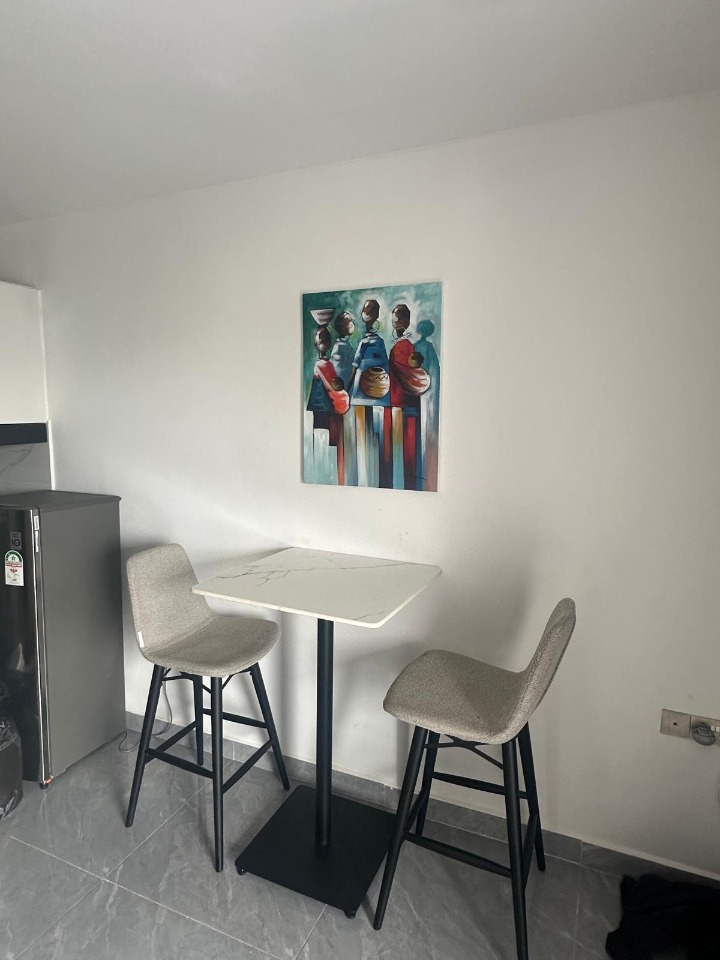 Furnished Studio Apartment for Rent – Lavington