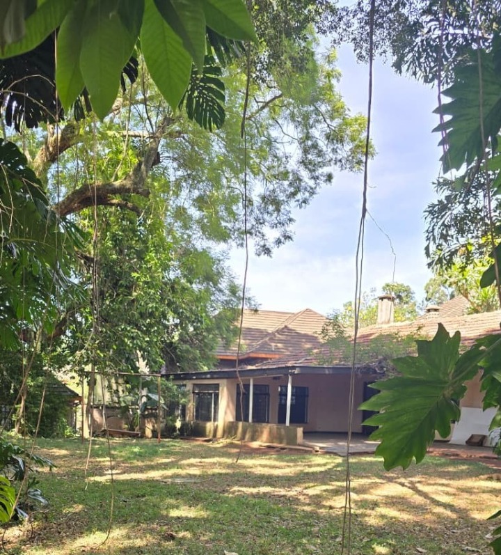 3-Bedroom Bungalow for Rent – Spring Valley
