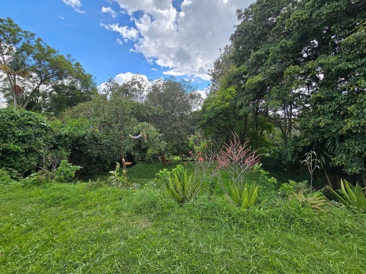 4-Bedroom Bungalow for Rent – Loresho