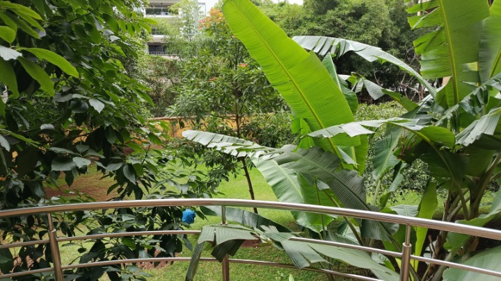 2 Bedroom Furnished Apartment For Rent – Riverside