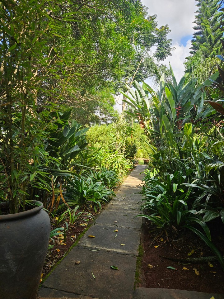 Peponi Road | 1 Bedroom Furnished Guest Wing for Rent