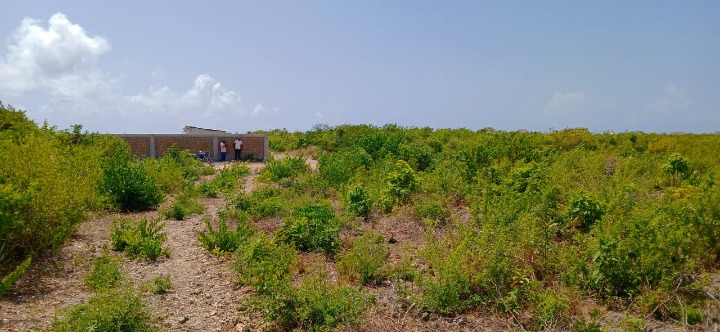Land for Sale – Watamu
