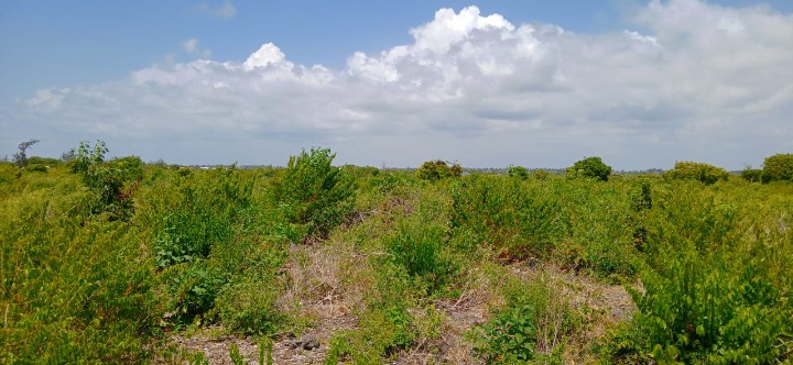 Land for Sale – Watamu