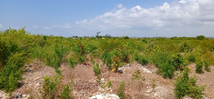 Land for Sale – Watamu