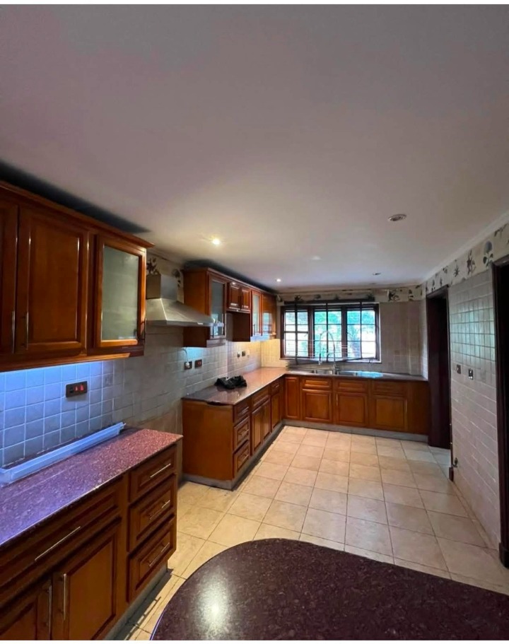 4 Bedroom Townhouse + DSQ To Let – Spring Valley