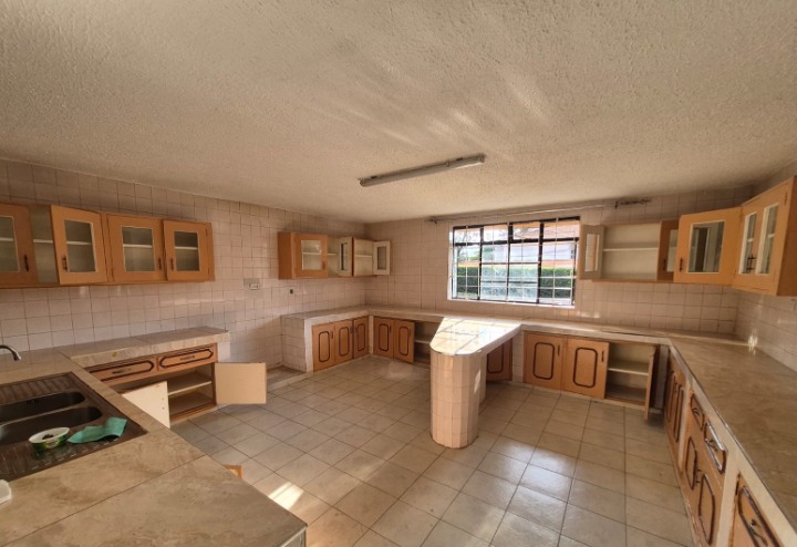 TO LET: 5-BEDROOM MANSION + DSQ – RUNDA
