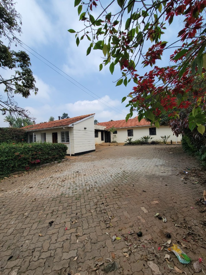 To Let: 3-Bedroom Bungalow + DSQ - Loresho