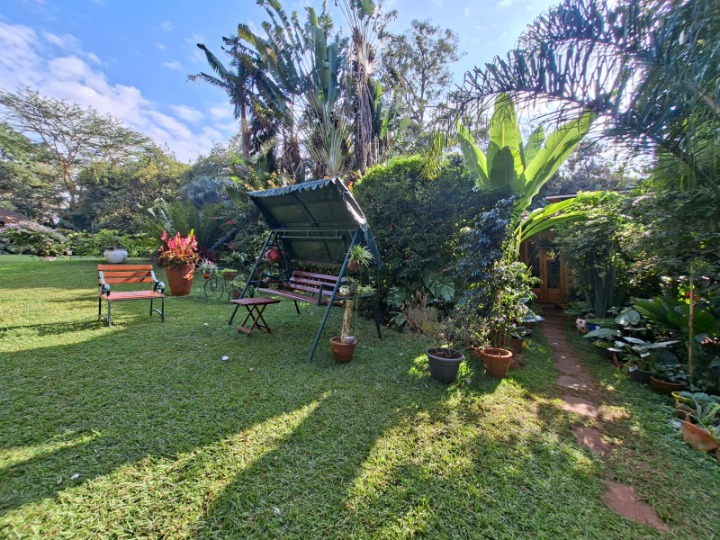 1-Bedroom Cottage for Rent | Rosslyn