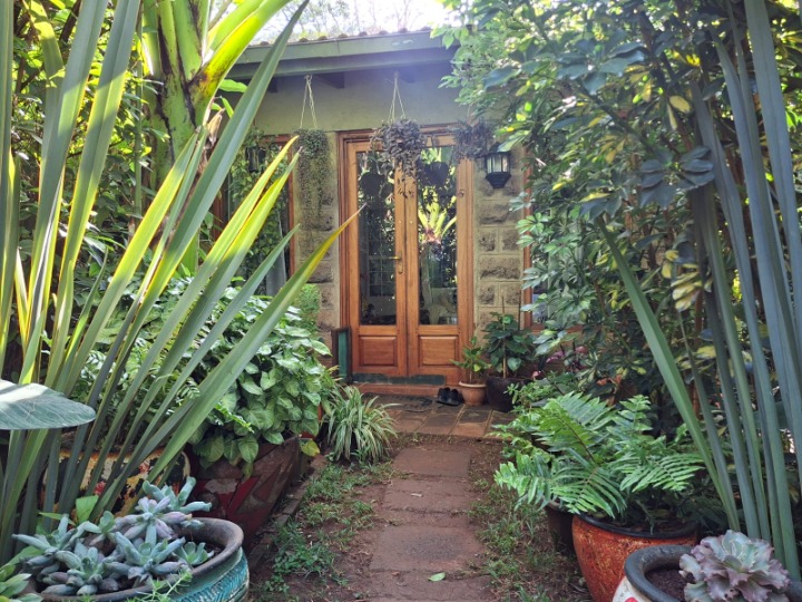 1-Bedroom Cottage for Rent | Rosslyn