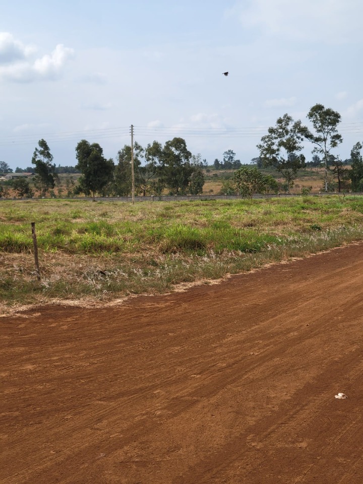 THIKA – SERVICED ⅛ ACRE PLOTS FOR SALE
