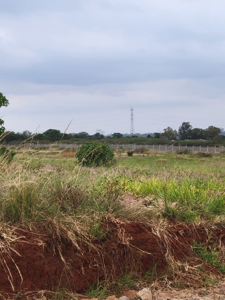THIKA – SERVICED ⅛ ACRE PLOTS FOR SALE