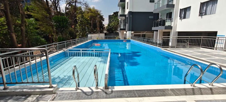 FURNISHED 2 BEDROOM APARTMENT - WESTLANDS