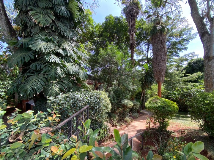 2-BEDROOM FURNISHED GUEST WING FOR RENT - RUNDA