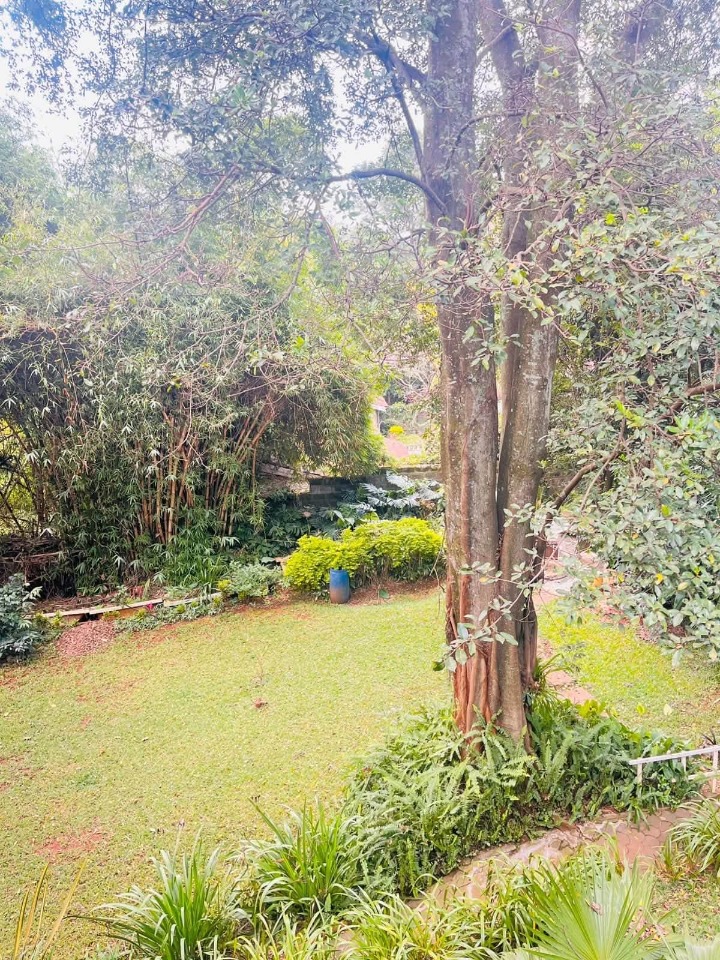 2-BEDROOM UNFURNISHED COTTAGE TO LET - SPRING VALLEY
