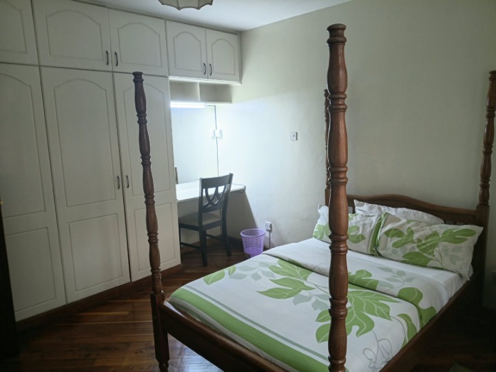 3 BEDROOM FURNISHED APARTMENT FOR RENT - LAVINGTON