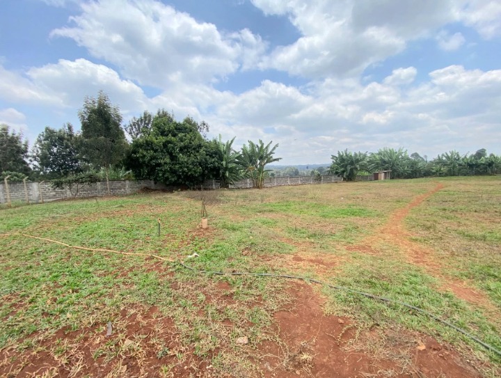 LAND FOR SALE - RUNDA
