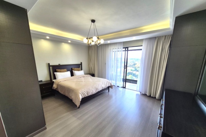 FURNISHED 4 BEDROOM PENTHOUSE + DSQ TO LET - KILELESHWA
