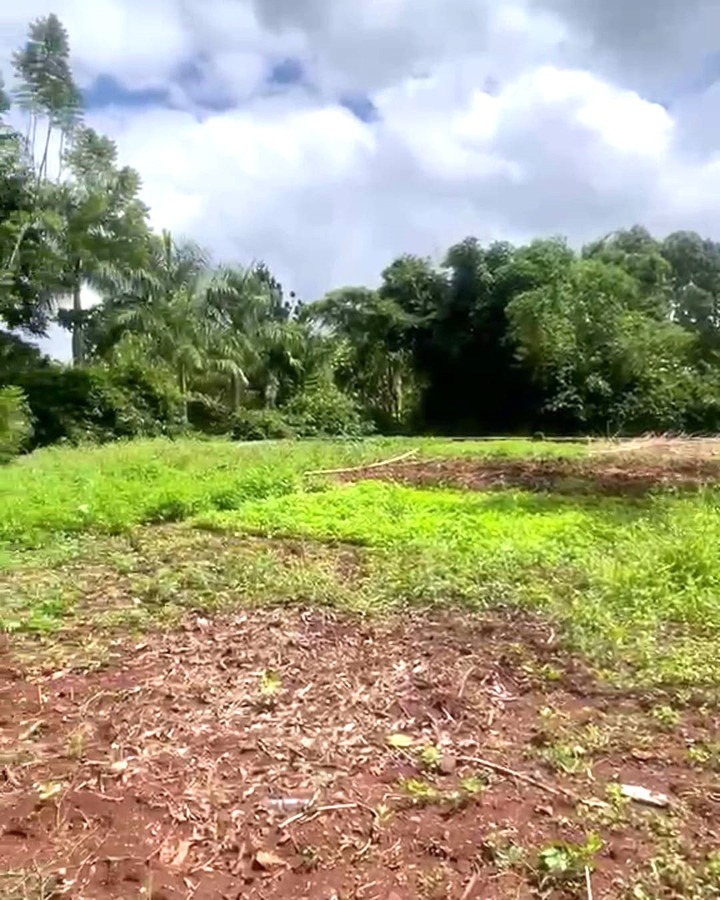 RUNDA - 0.5 ACRE LAND FOR SALE