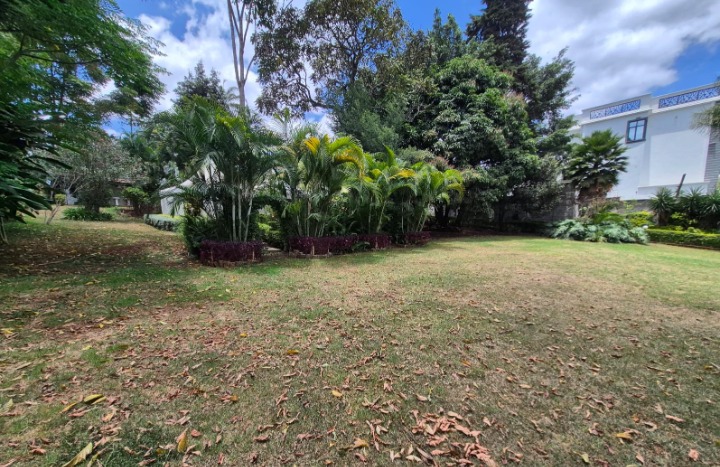 6 BEDROOM MANSION + DSQ FOR RENT - LAVINGTON
