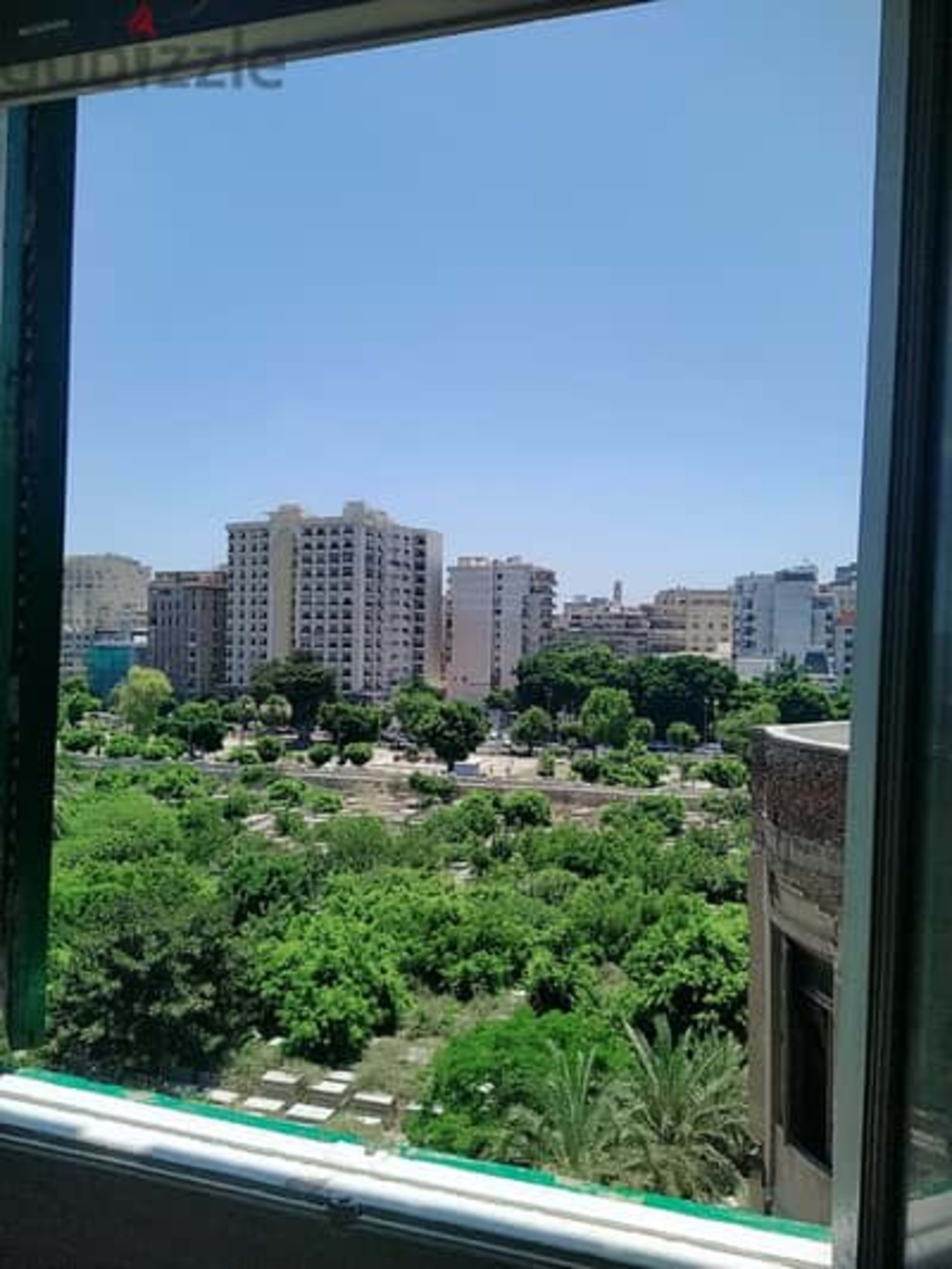 شقه للايجار شارع شامليون امام المجمع الطبى مباشرة 5
