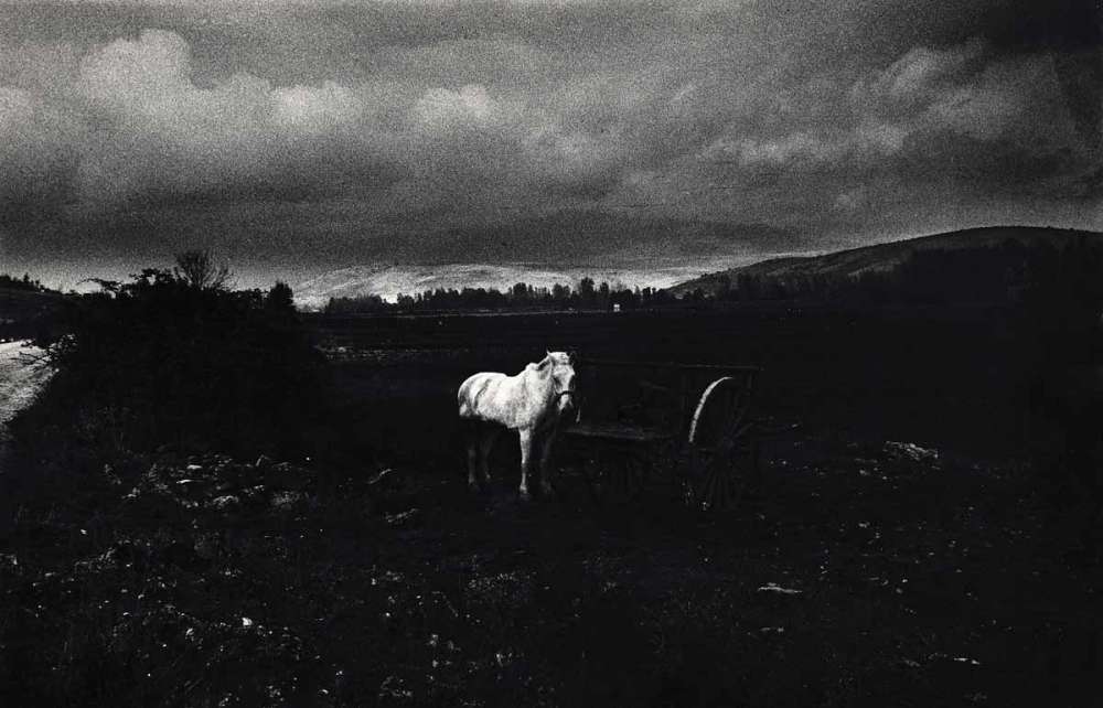 Photo d'une exposition collective de l'oeuvre de Gabriel Cualladó, intitulée “Photographie actuelle en Espagne”, Circulo de Bellas Artes